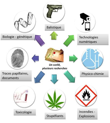 Spécialités des laboratoires de la Police Scientifique