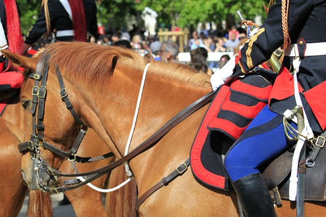 Cheval de la Garde Républicaine