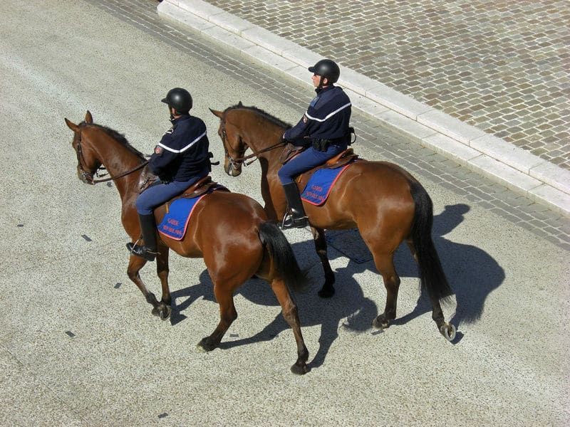 Devenir gendarme à cheval en France