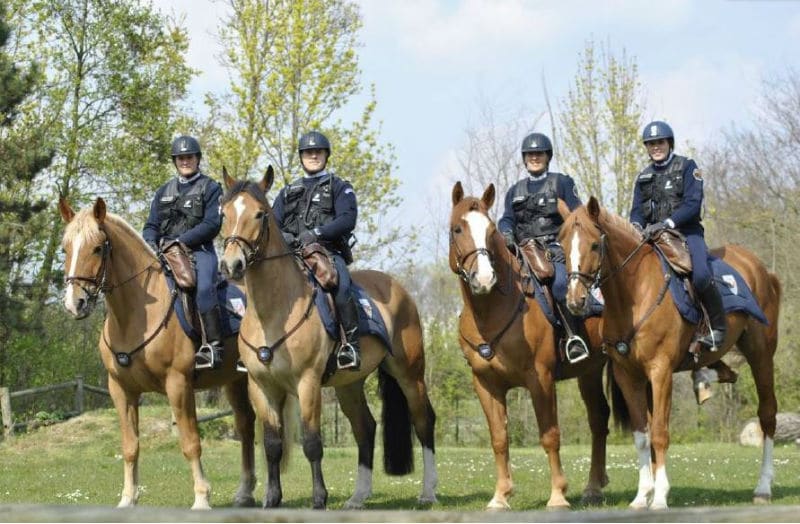 Policier à cheval