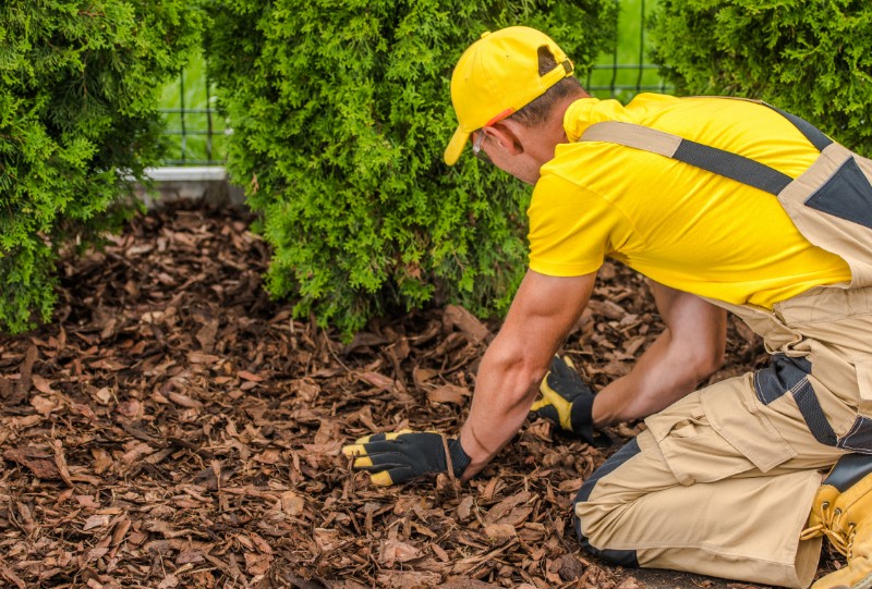 Adjoint Technique des Espaces Verts