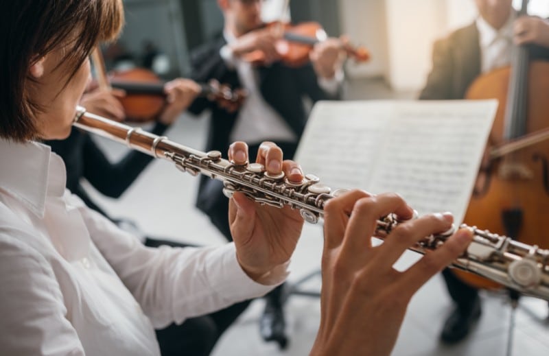 Musicienne de la Police Nationale